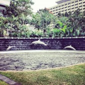 Some random photos of RJ