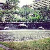 Some random photos of RJ